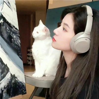 徬徨少年之谜